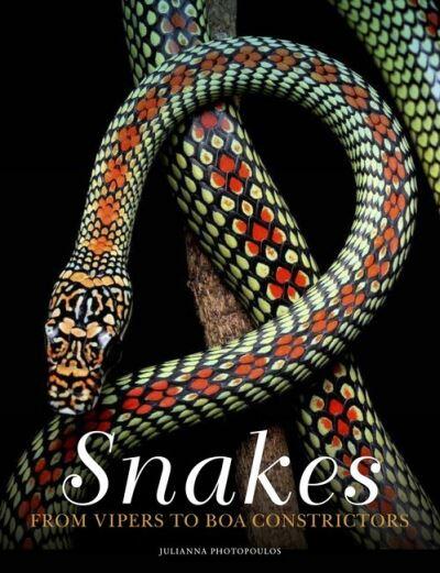 Snakes by Julianna Photopoulos (Hardback)