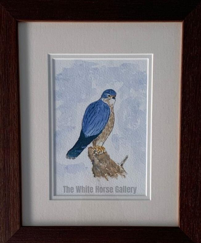 77 | Merlin (Watercolour) David du Croz - £50 (SOLD)