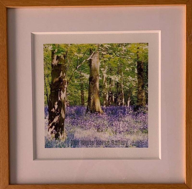24 | Bluebells (Original photo print) Clare de Galleani - £95