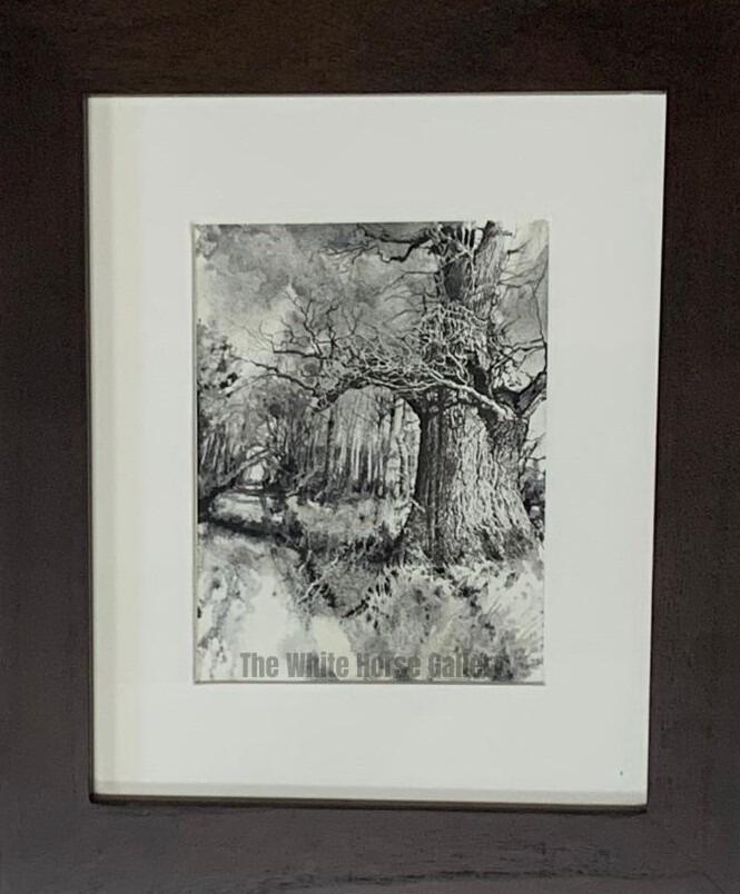 48 | Savernake Veteran (Watercolour/Pen/Ink on paper) Amie Bolissian - £290 (SOLD)