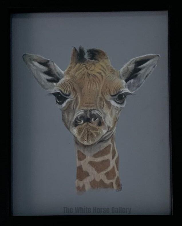 74 | Gerald (Pastel) Susan Gray - £100