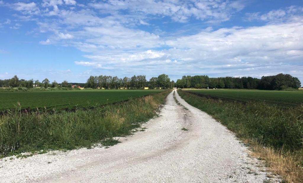 Nyckelinsikter från rapporten ”Nästa steg för ekologiskt lantbruk i Sverige”'s image'