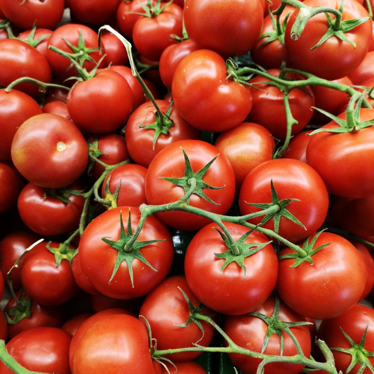 Tomato products from Ekopallen