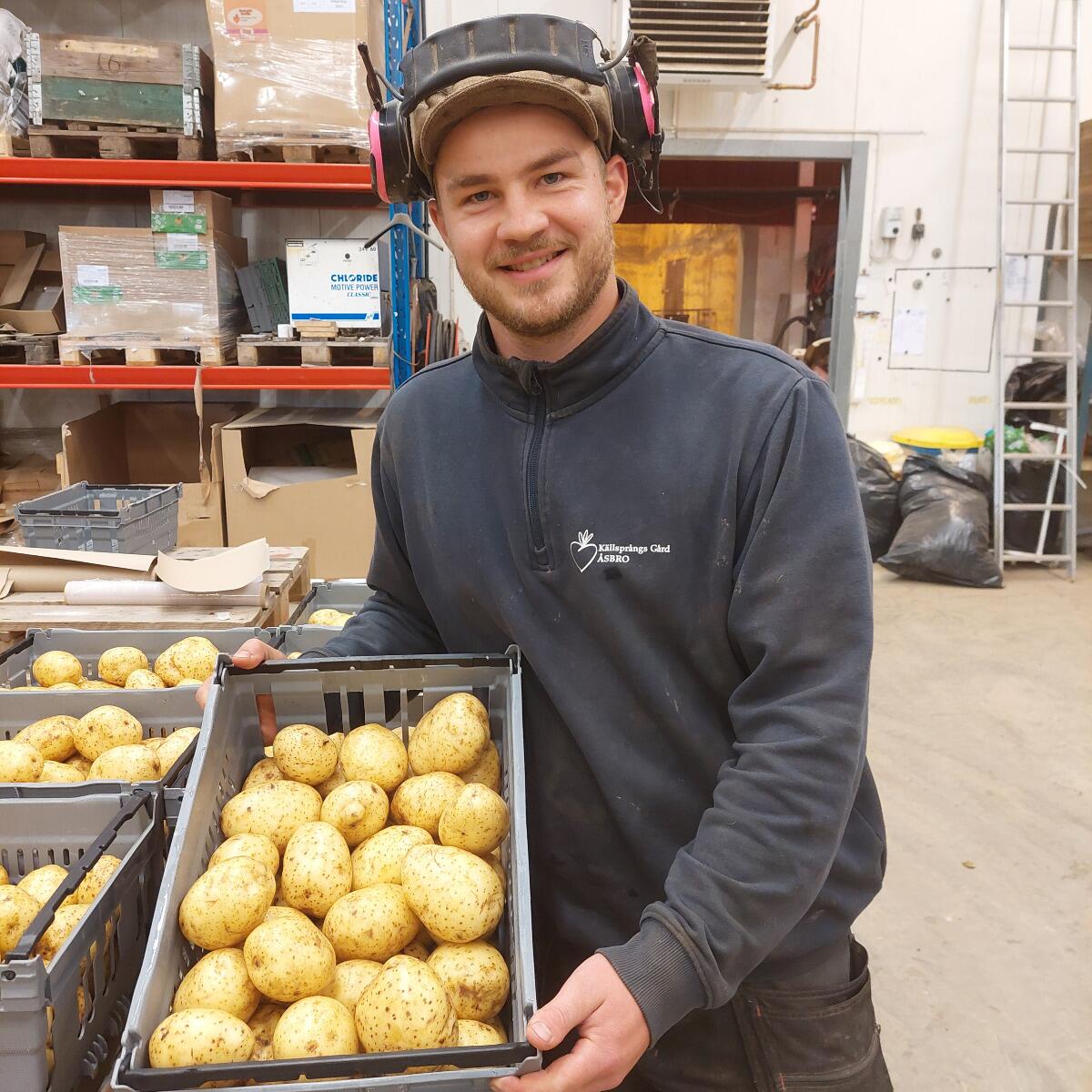 „Källsprångs Gårds Kartoffeln kehren zurück“