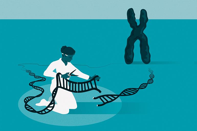 How can the new CRISPR genetic scissors affect agriculture?'S image '