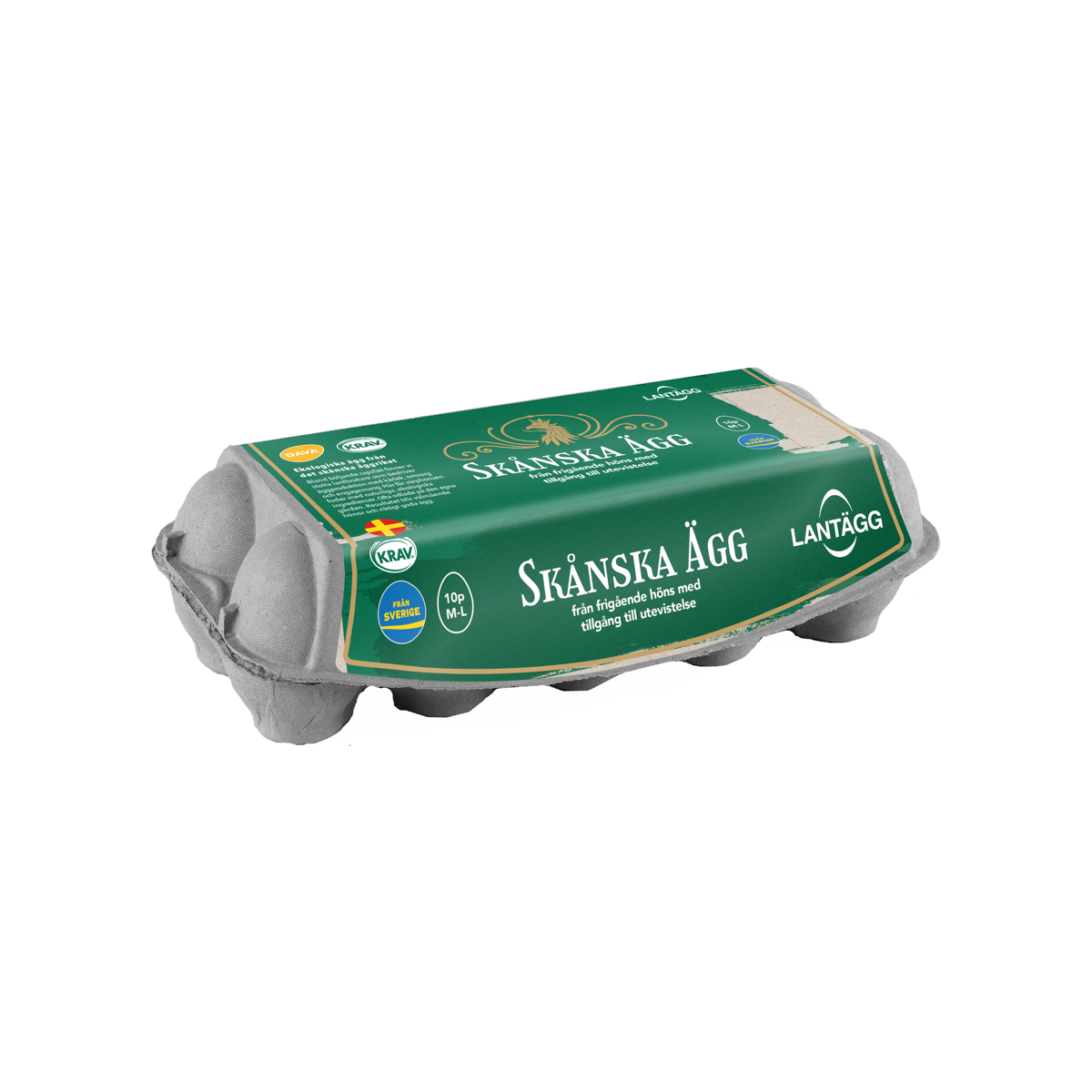 Dava Foods's Egg Scania 10p Size ML'