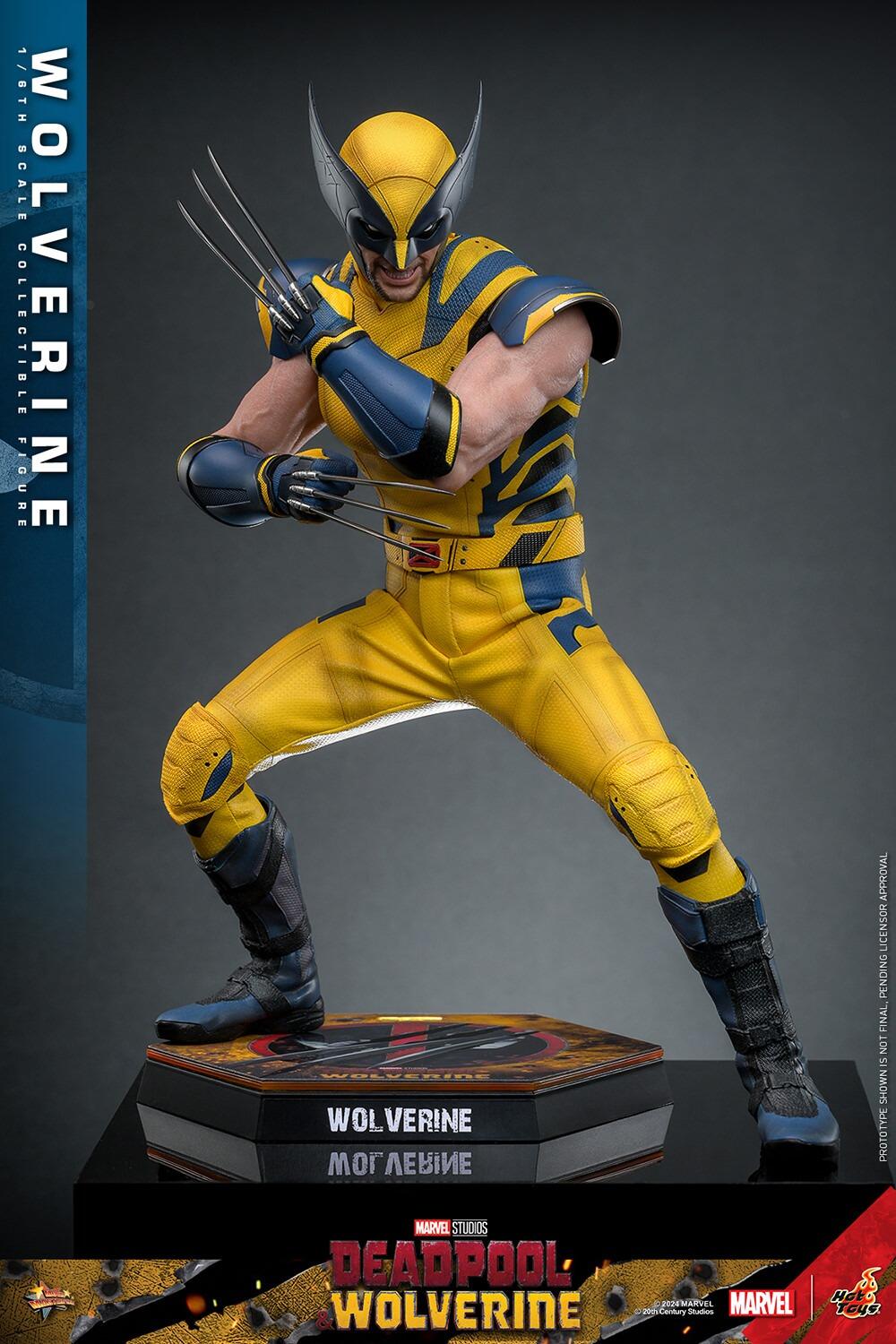 PRE-ORDER Wolverine - Marvel Deadpool & Wolverine Hot Toys Collectibles 1/6  Scale Action Figure