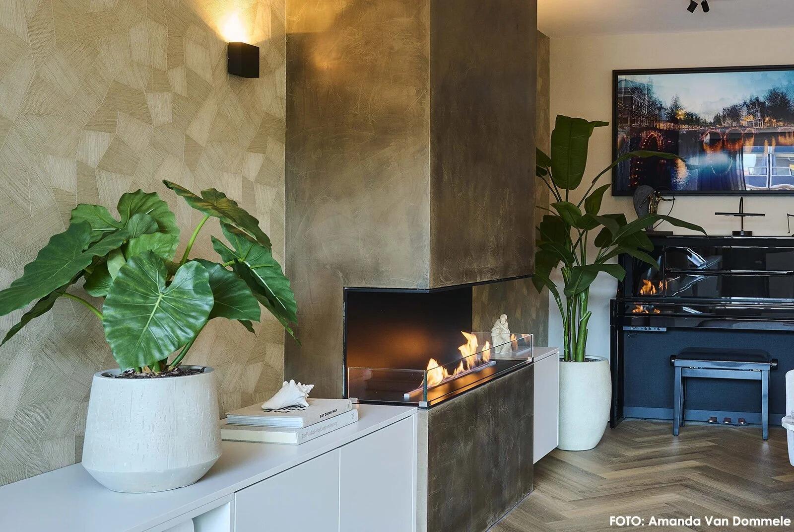 Montreal three-sided fire with a large plant in a gold-toned living room