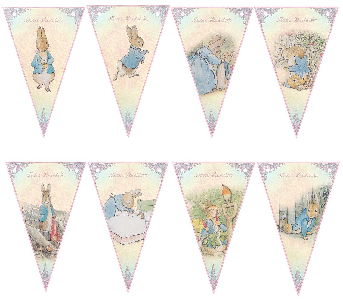 Peter Rabbit Pink Bunting,Baby Shower,Nursery Decor,Birthday Party Bunting, Christening