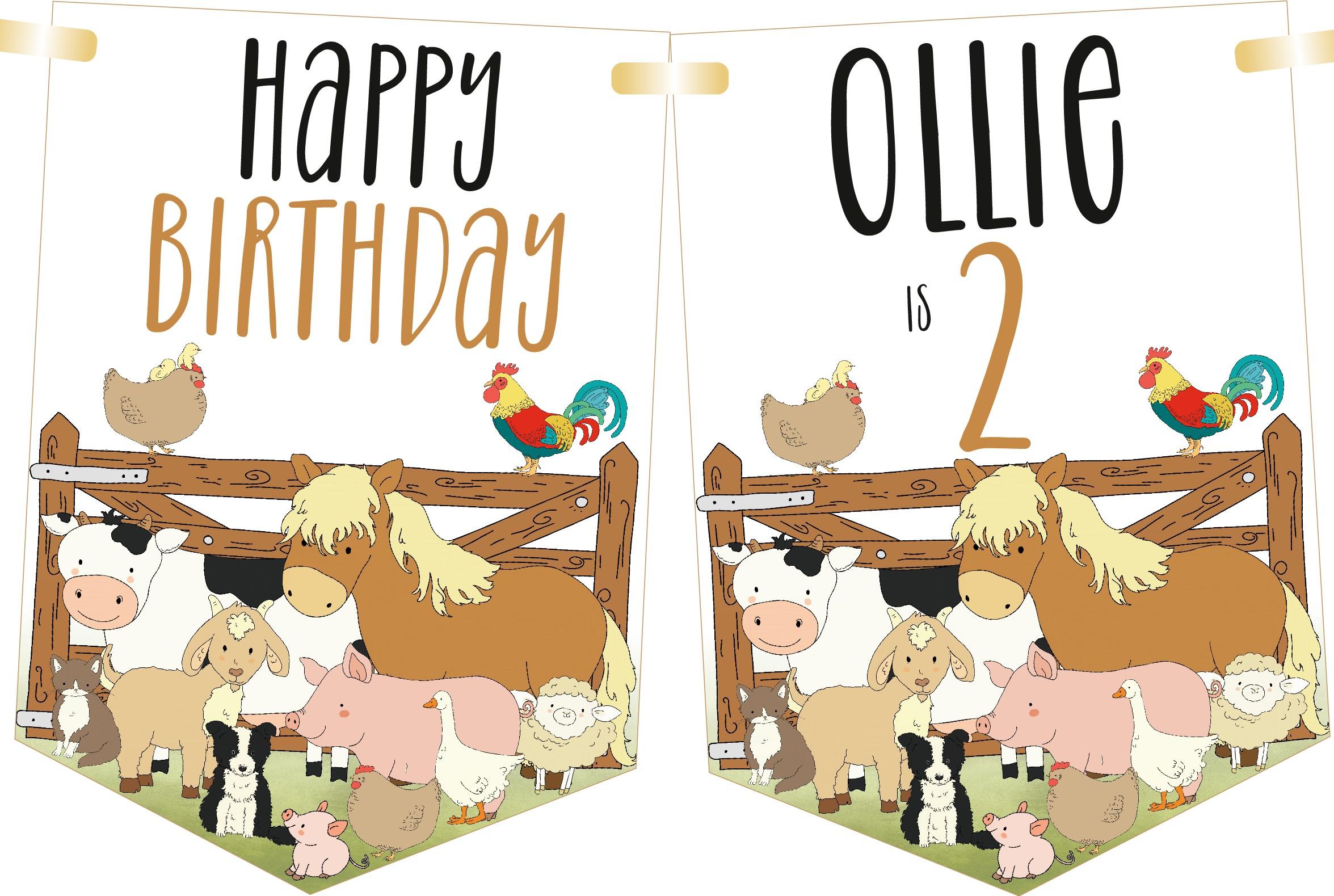 Farmyard Friends Birthday Bunting,Personalised Childrens Birthday Party Banner,Any Age