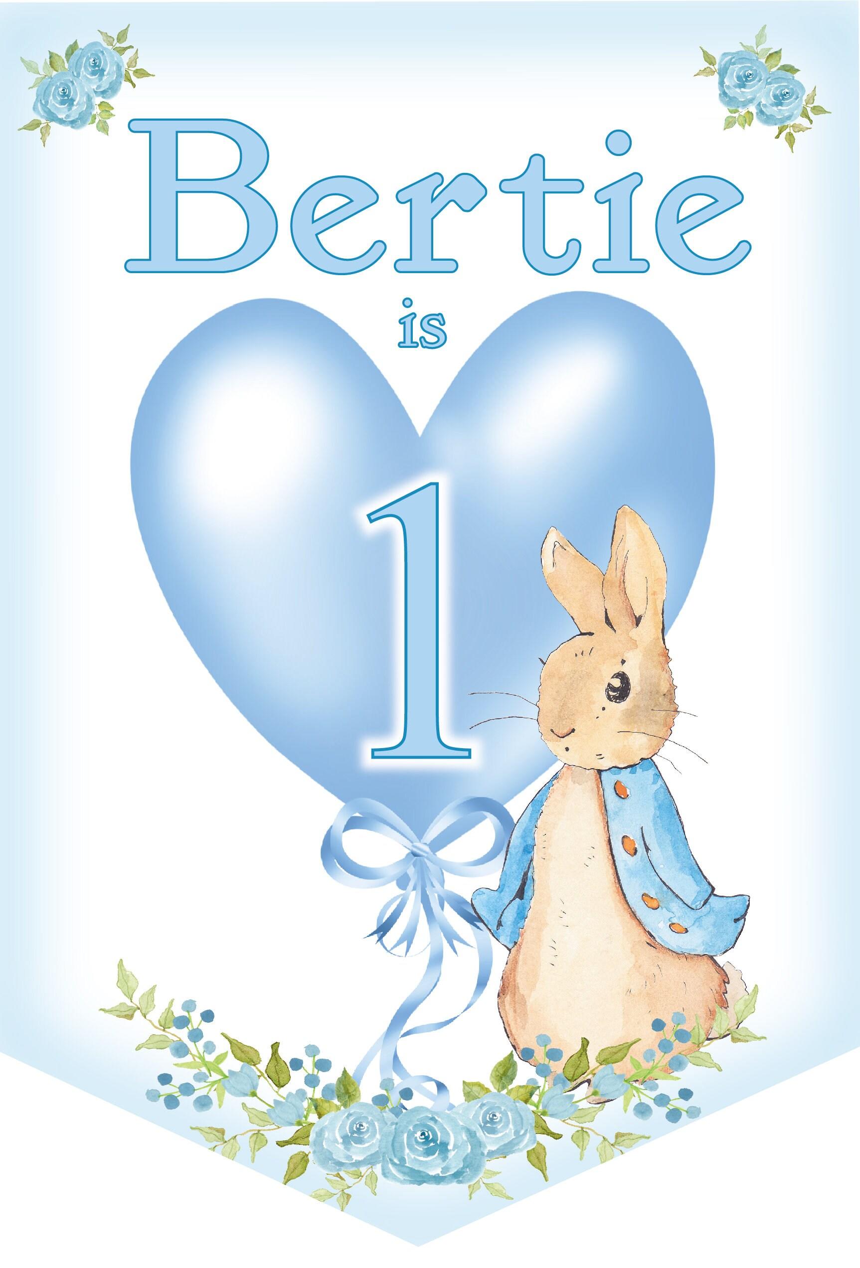 Kids Personalised Birthday Bunting,Peter Rabbit Birthday Banner,Boys Birthday Bunting,Any Age