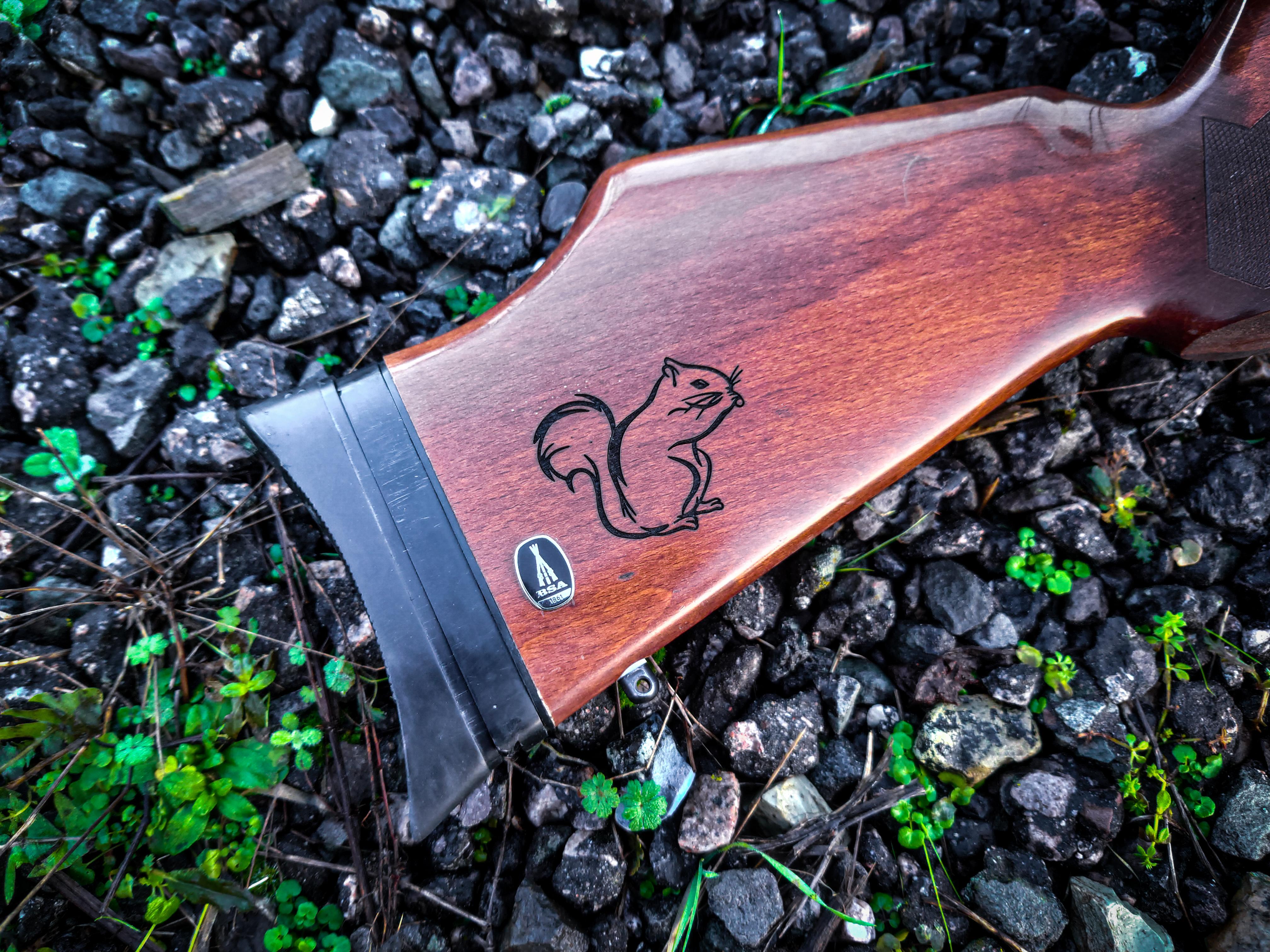 BSA RAT Works Rifle .25