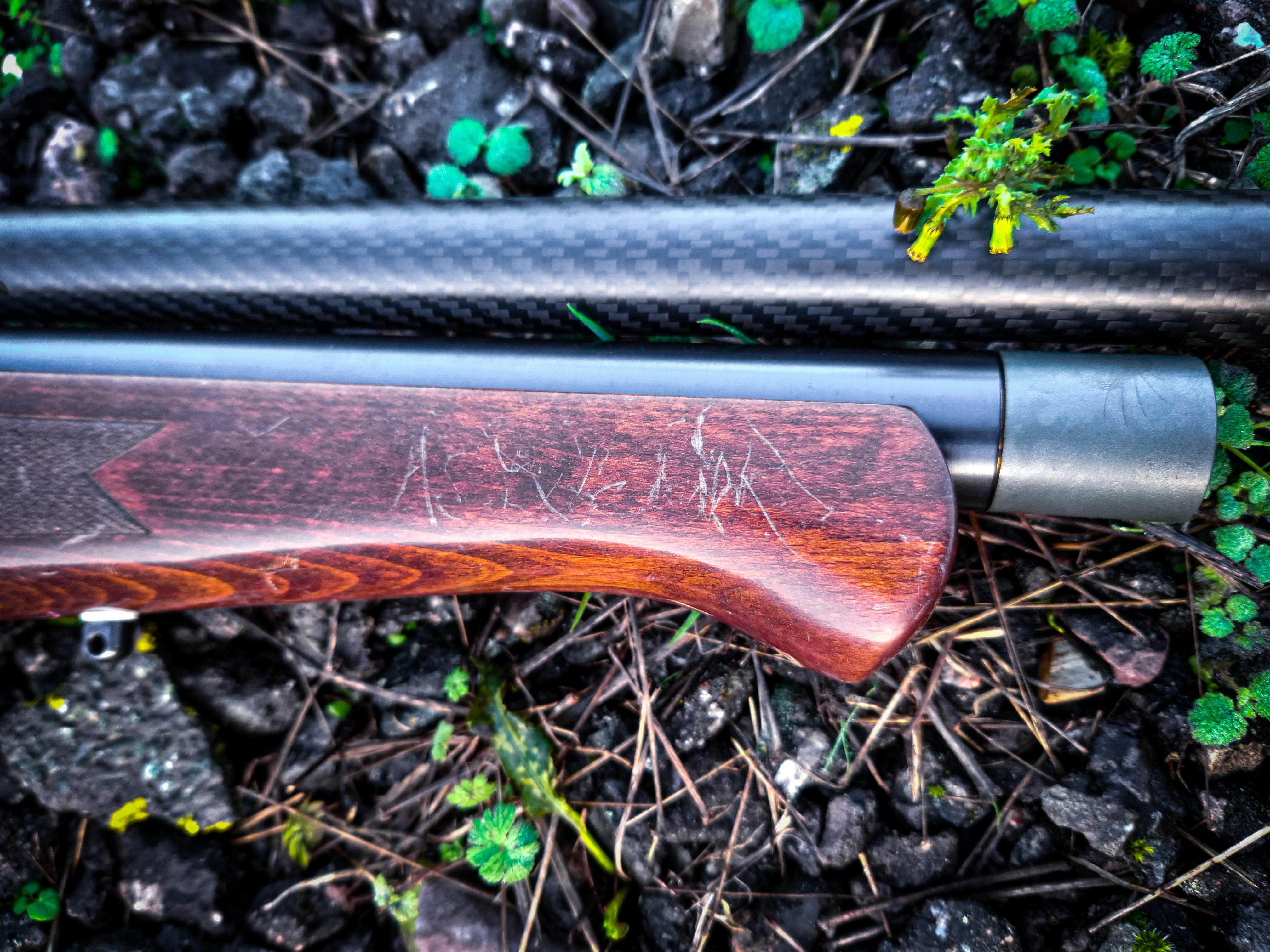 BSA RAT Works Rifle .25