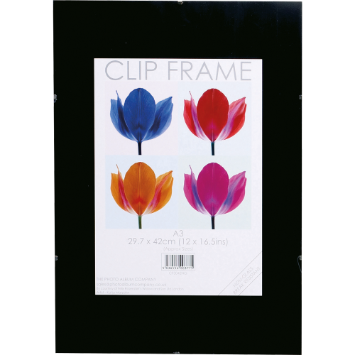 Picture Frames | Clip