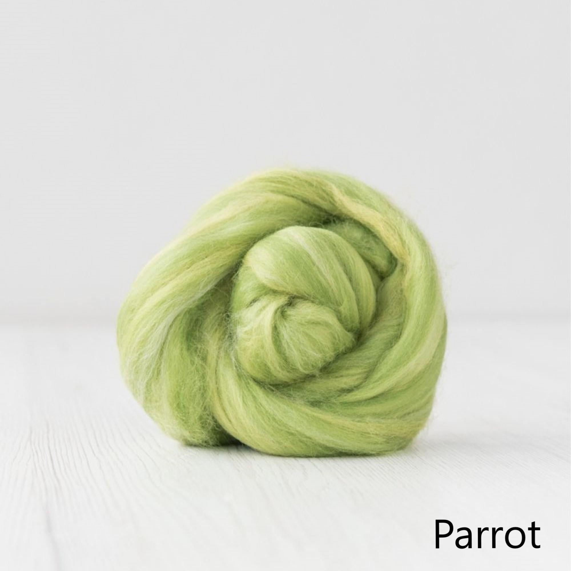 Parrot Merino and Silk Roving