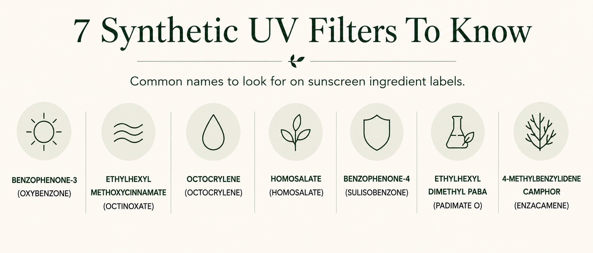Infographic showing seven common synthetic UV filters found in sunscreens, including oxybenzone, octinoxate, octocrylene and homosalate, to help consumers understand sunscreen ingredient labels.