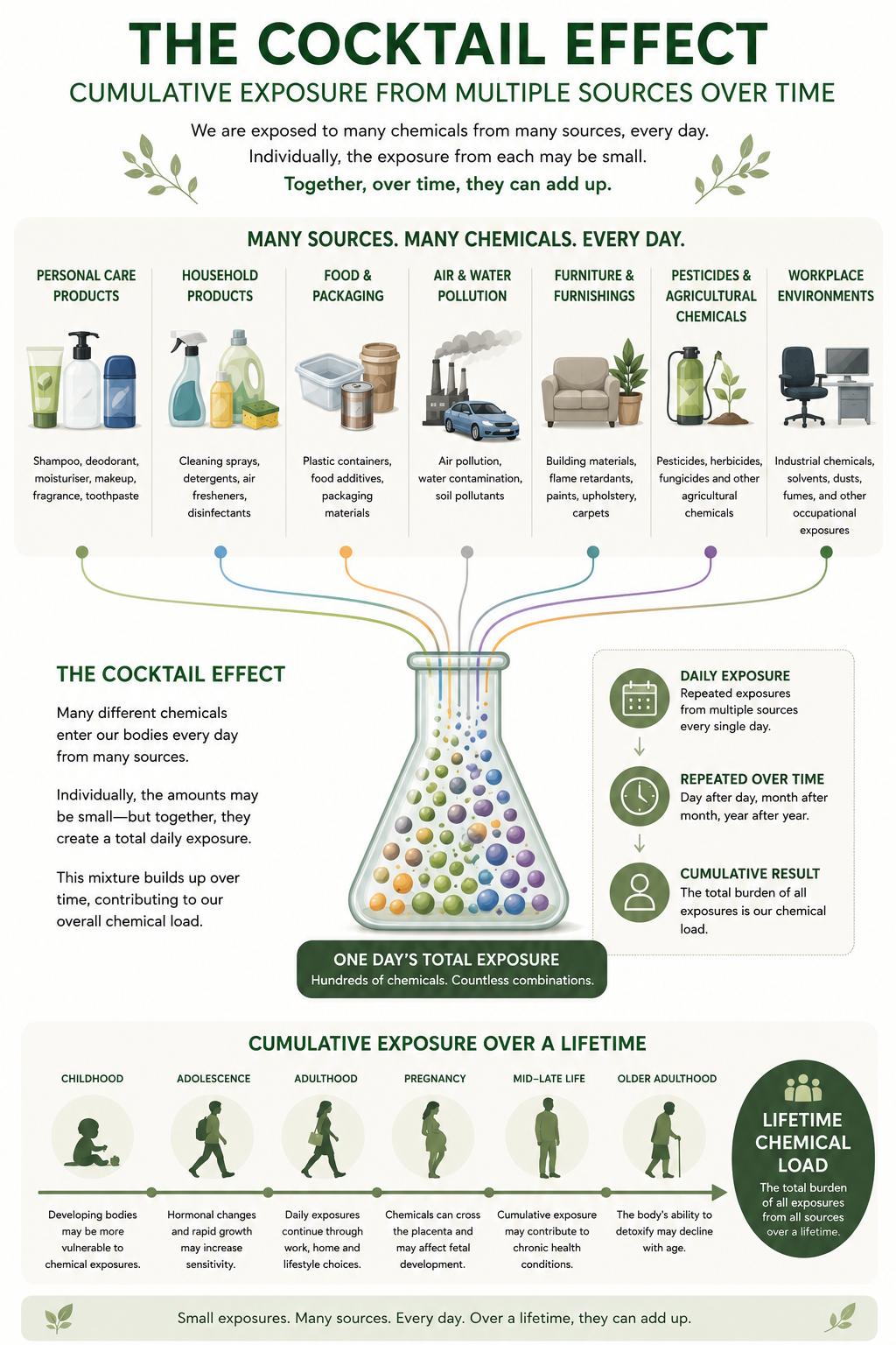Infographic explaining chemical loading, showing how everyday exposures from personal care products, household cleaners, food packaging, pollution and other sources can contribute to cumulative chemical exposure over a lifetime