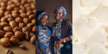 Shea Butter From African Forests to Your Skin: Why We Choose It