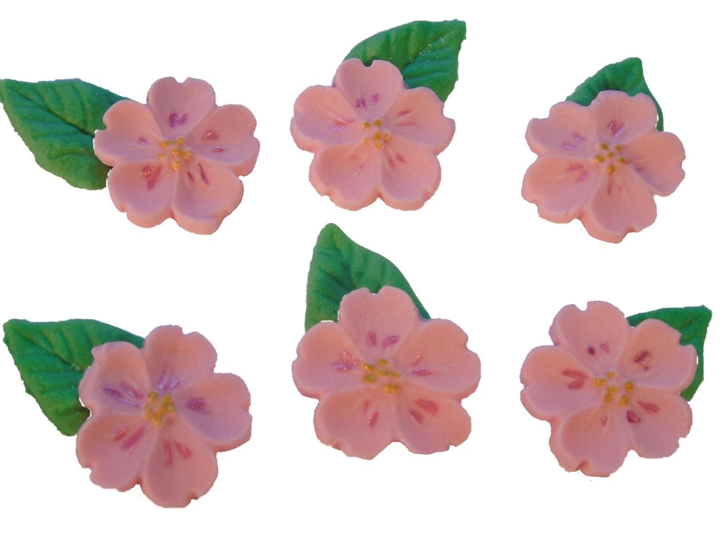 Pink Blossoms with leaves Birthday Vegan Cupcake Cake Decorations