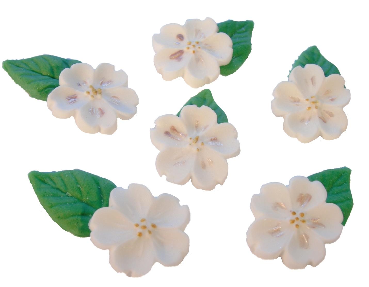 White Blossoms with leaves Birthday Vegan Cupcake Cake Decorations