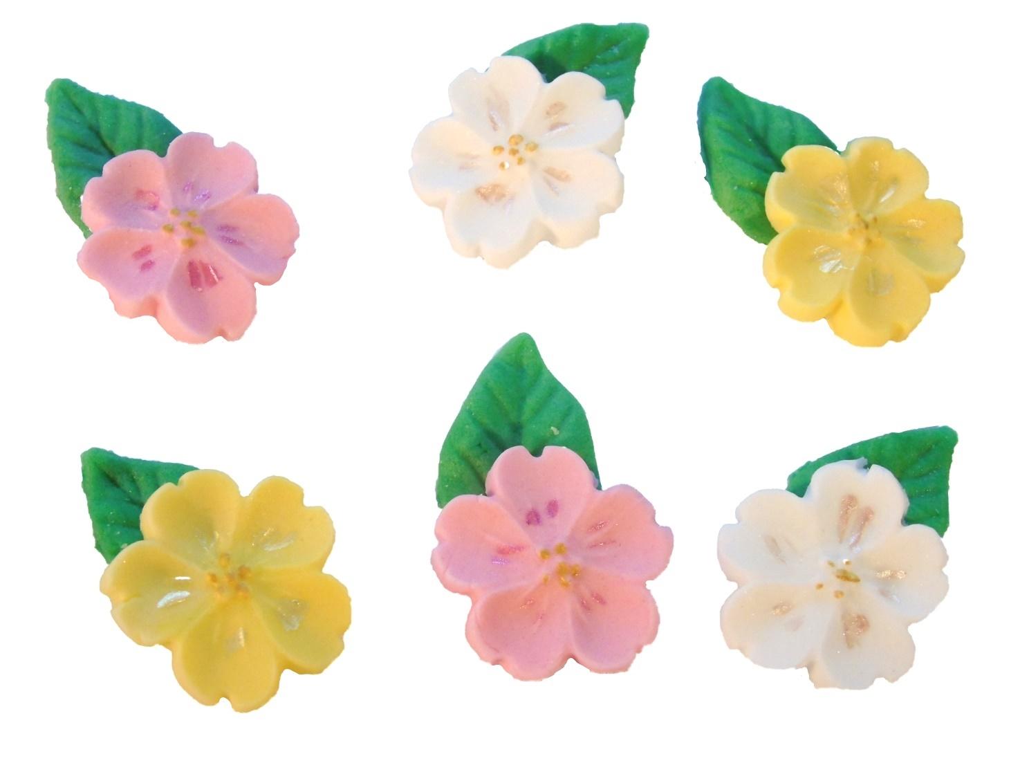 Mixed coloured Blossoms with leaves Birthday Vegan Cupcake Cake Decorations