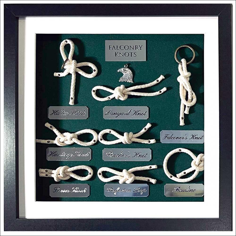 Falconry Knots board