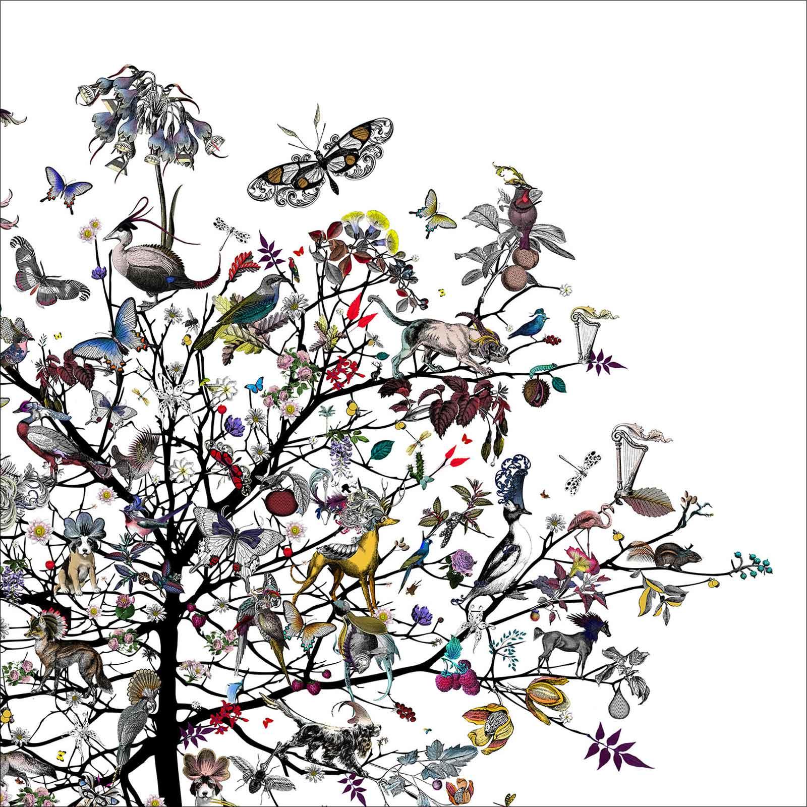 aesop tree picture for children