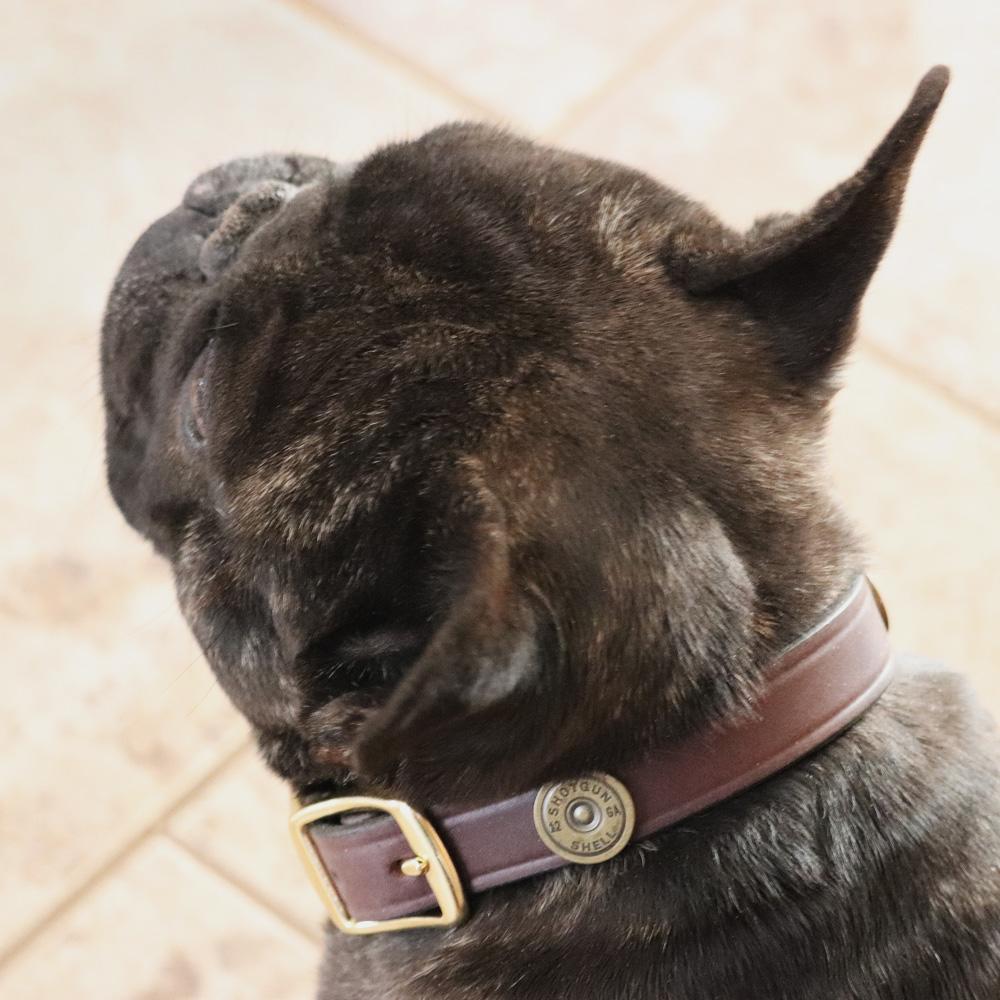 Cat Collars Archives - Genuine Dog Gear