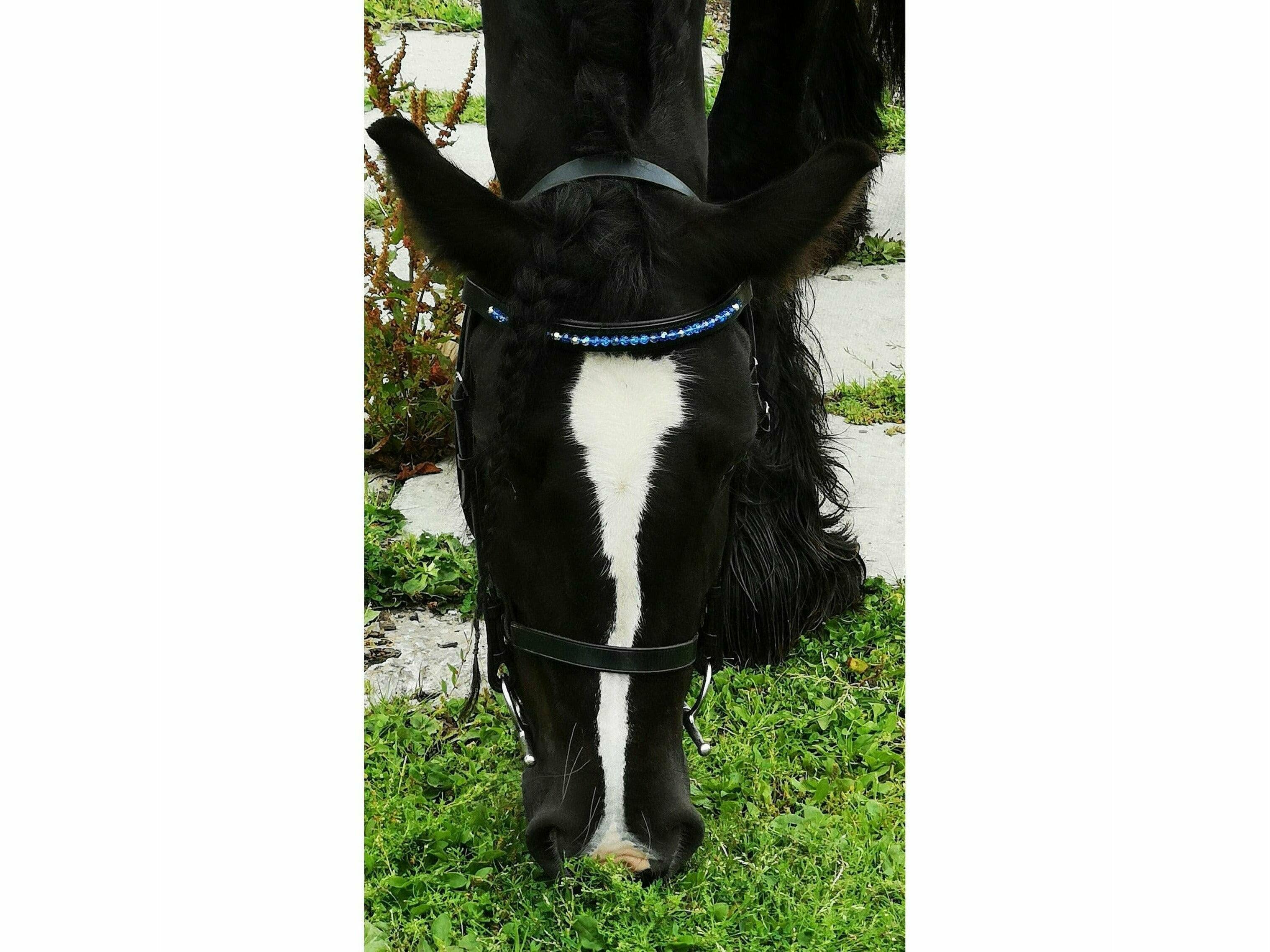 Lovely custom browband with shiny blue glass beads being modelled by a gypsy cob horse