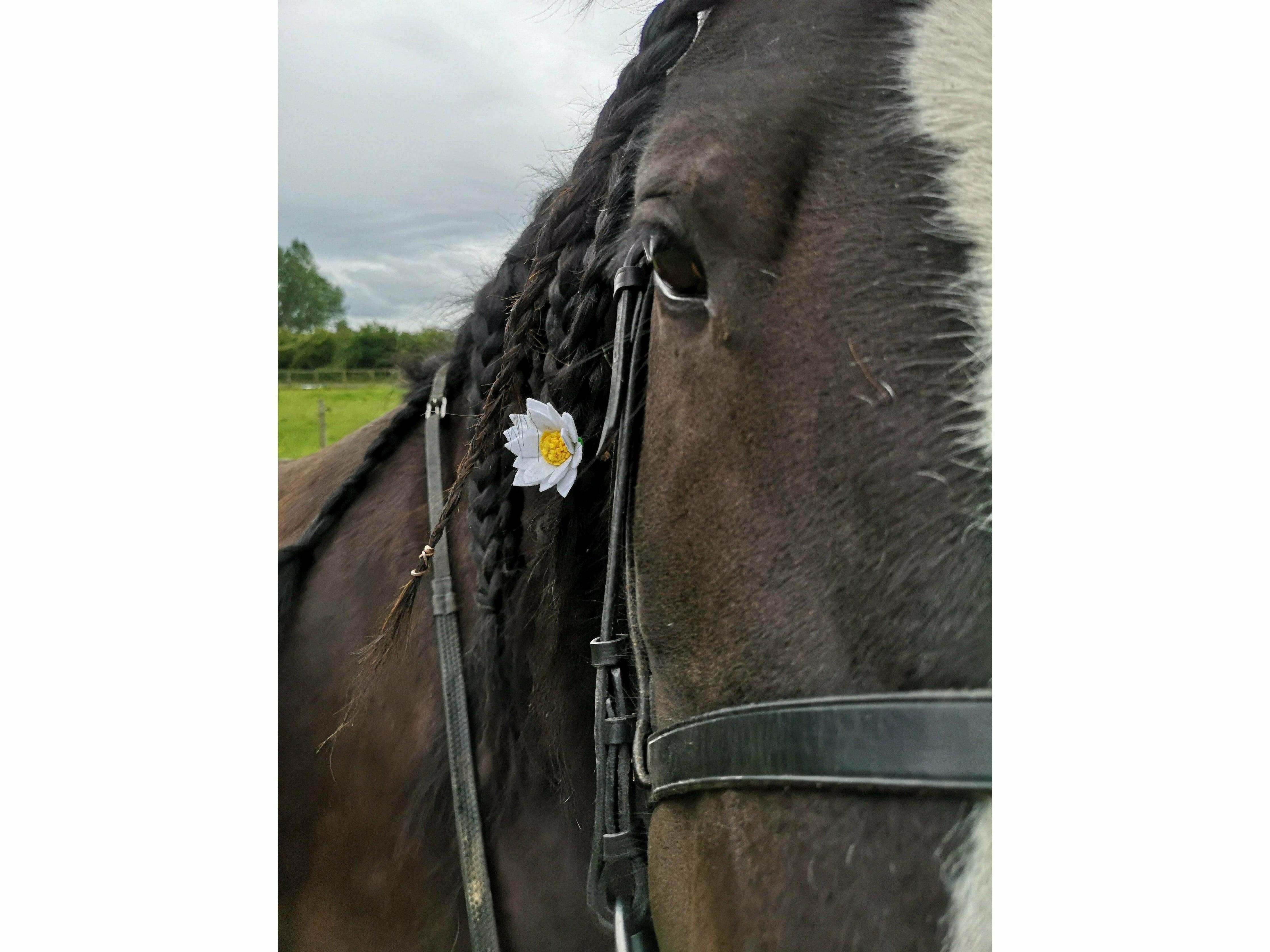 Daisy-Chain Equestrian Charm Daisy Bridle/Mane Charm