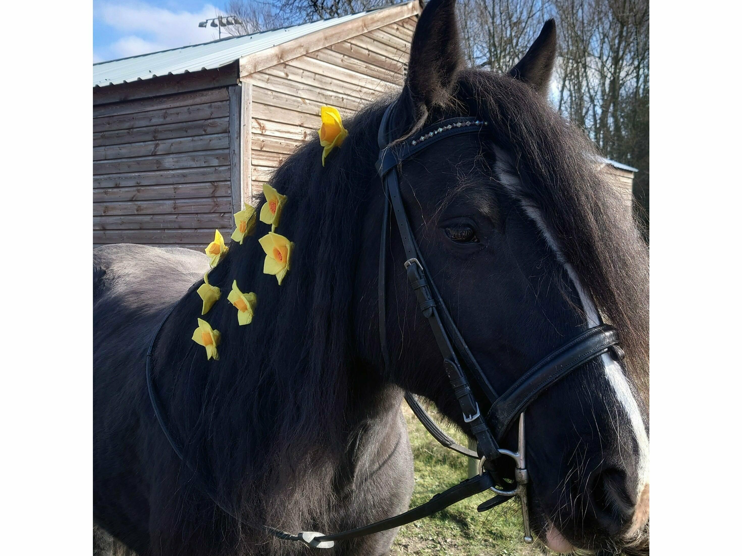 Daisy-Chain Equestrian Charm Daffodil Mane and Tail charm set (8 flowers)