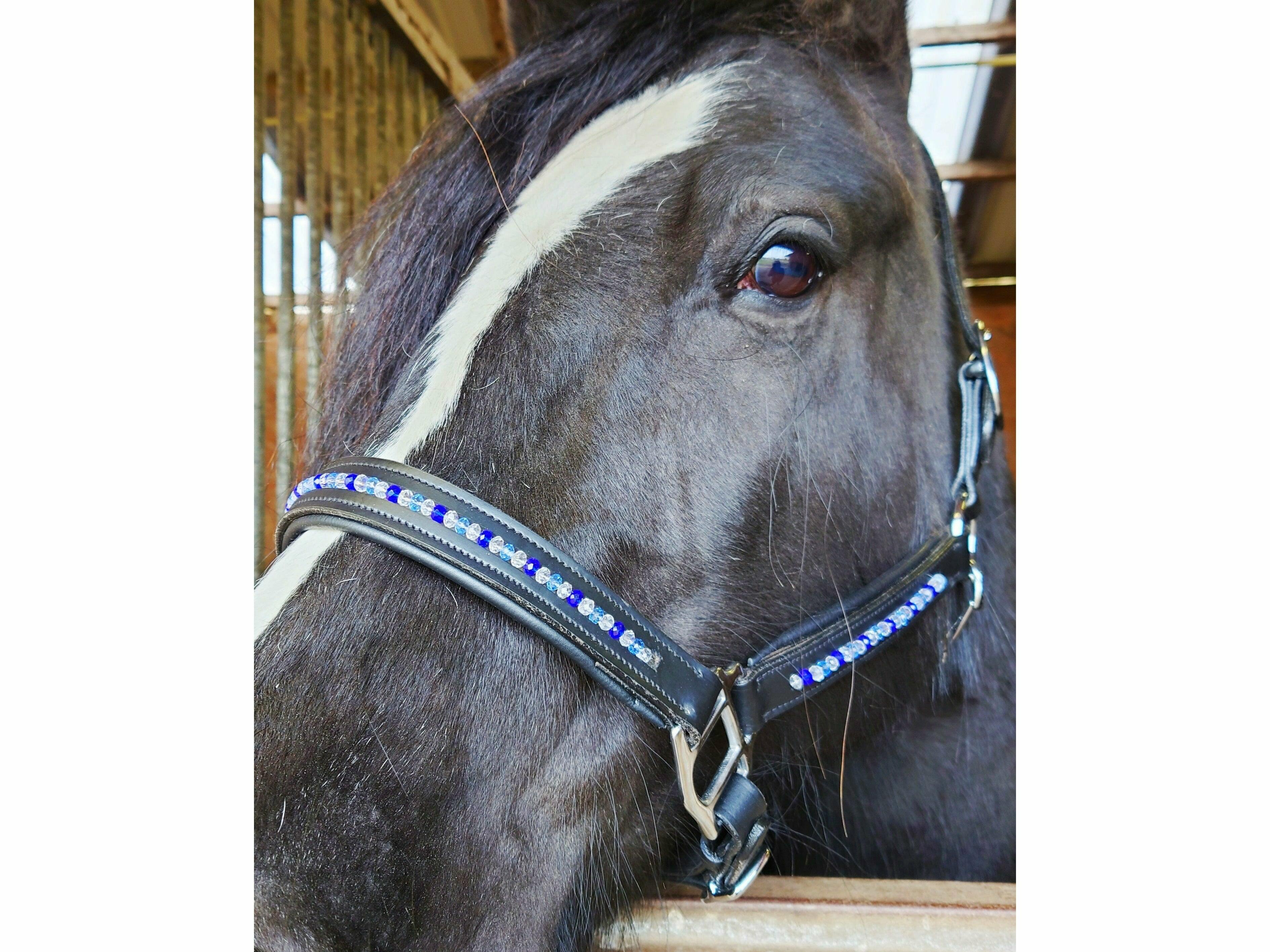 Daisy-Chain Equestrian Glass Beaded Leather Headcollar