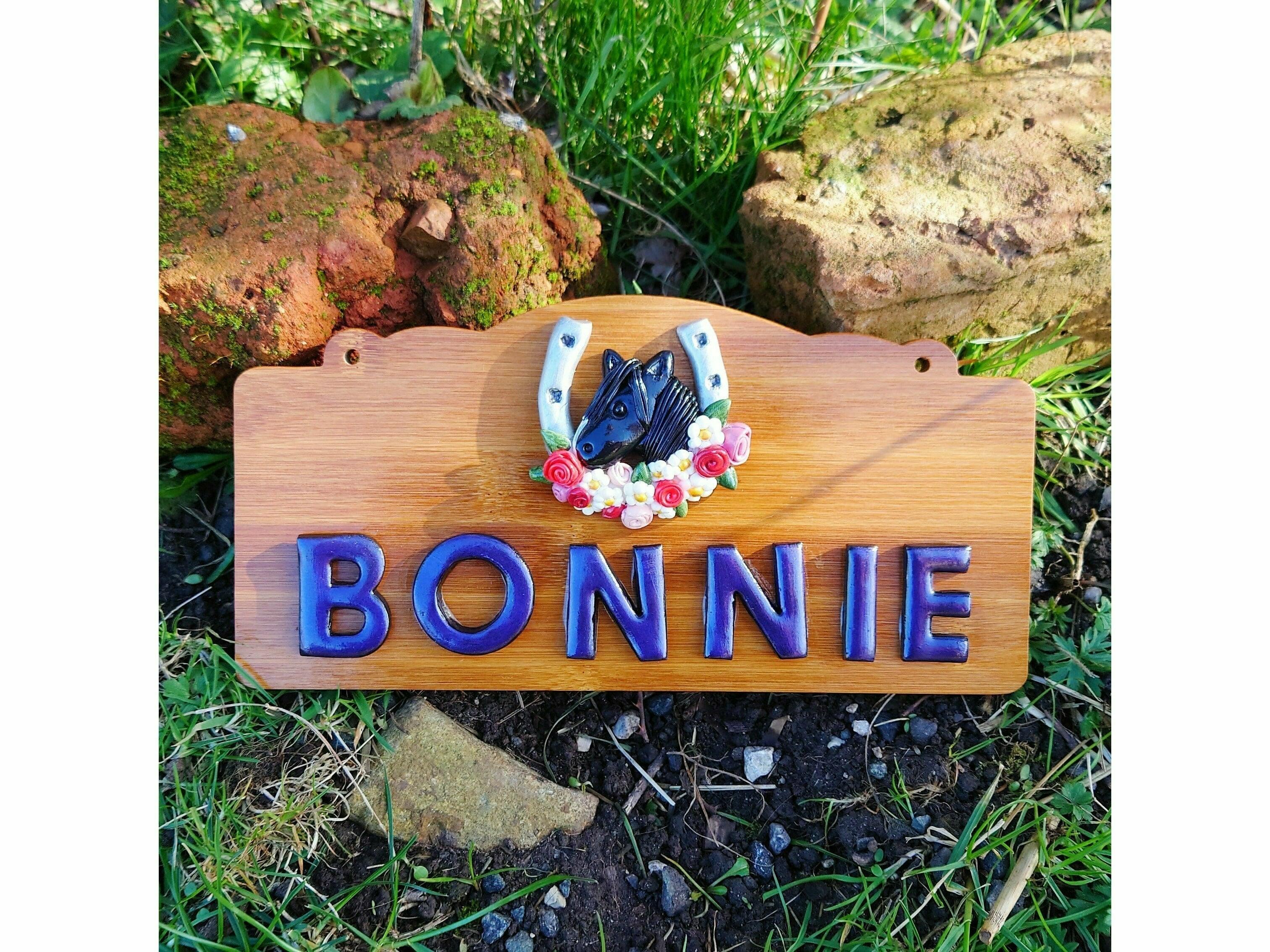 Beautiful stable door plaque with a personalised black horse head inside a horseshoe surrounded by flowers. The name Bonnie is painted in royal blue to finish off this amazing plaque.