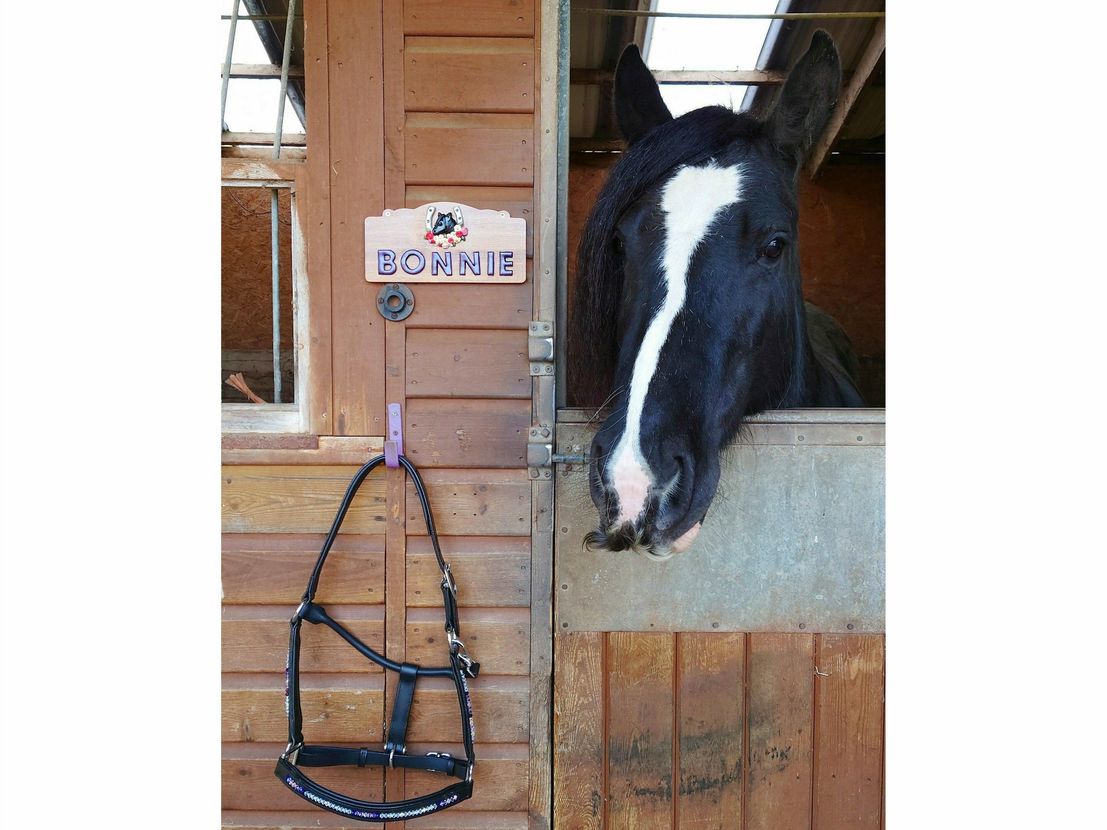 Daisy-Chain Equestrian Personalised Stable Door Plaque
