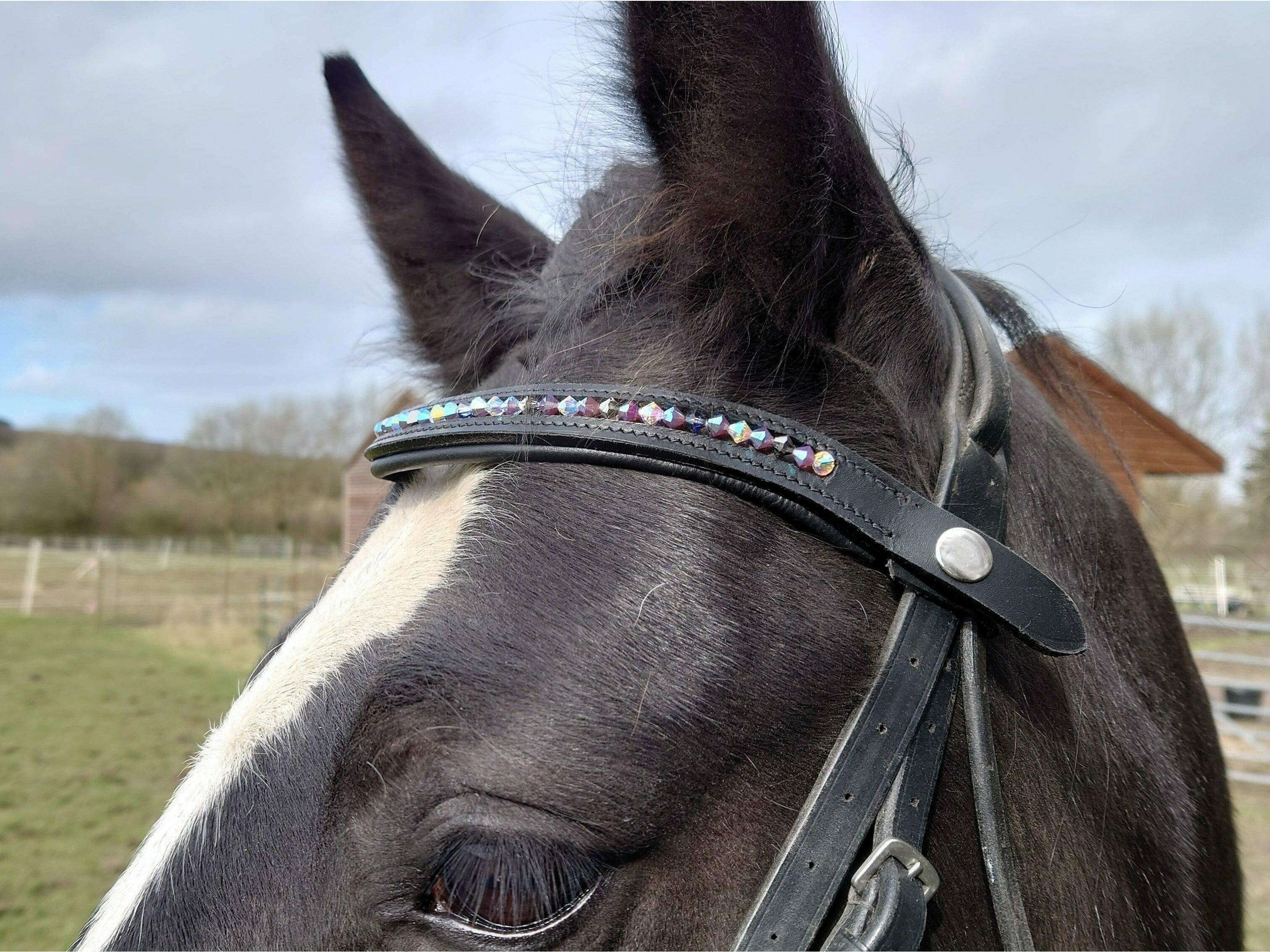 Daisy-Chain Equestrian Browband Quick-change Leather Browband with Preciosa Crystal beads