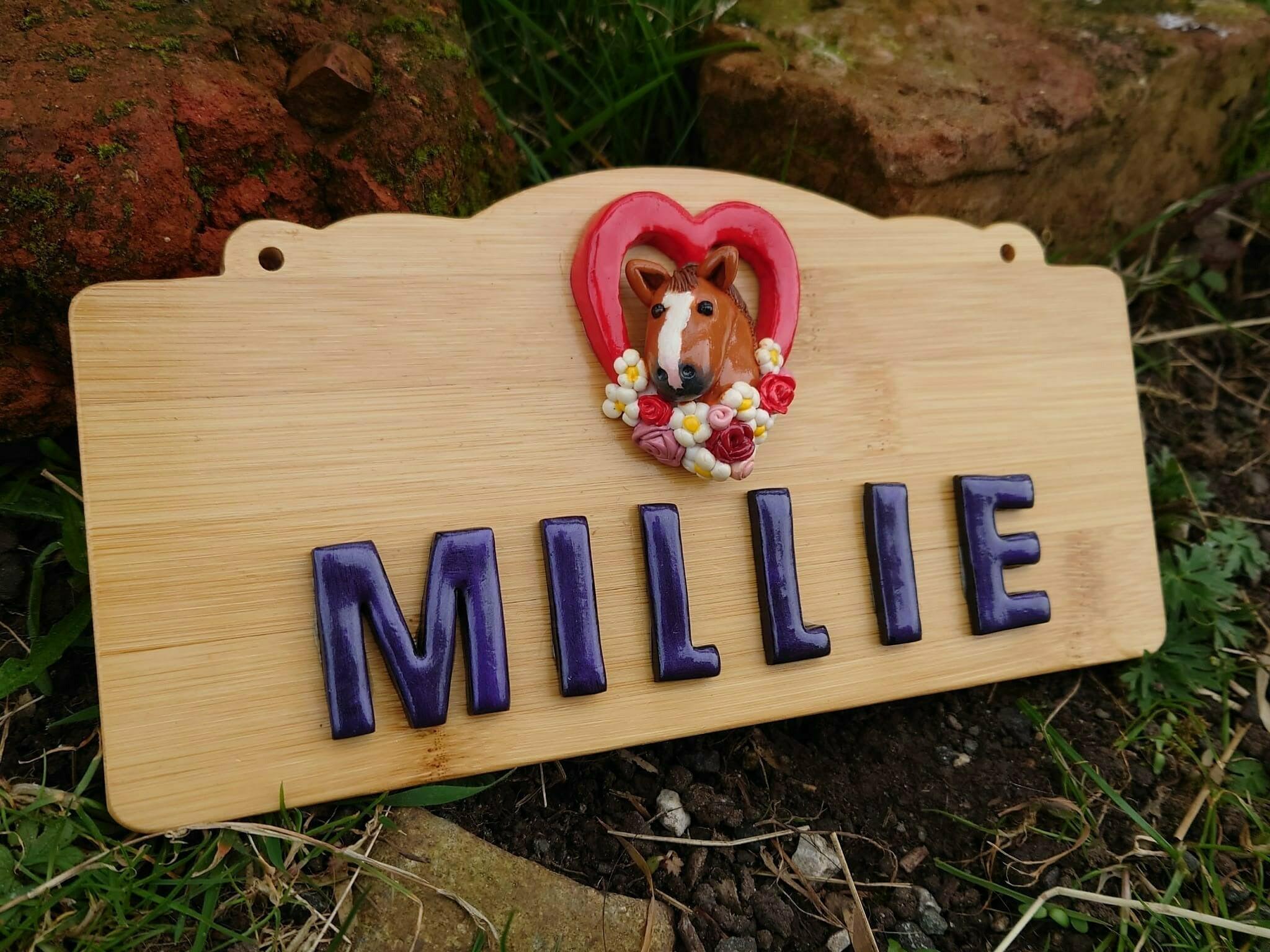 Daisy-Chain Equestrian Personalised Stable Door Plaque