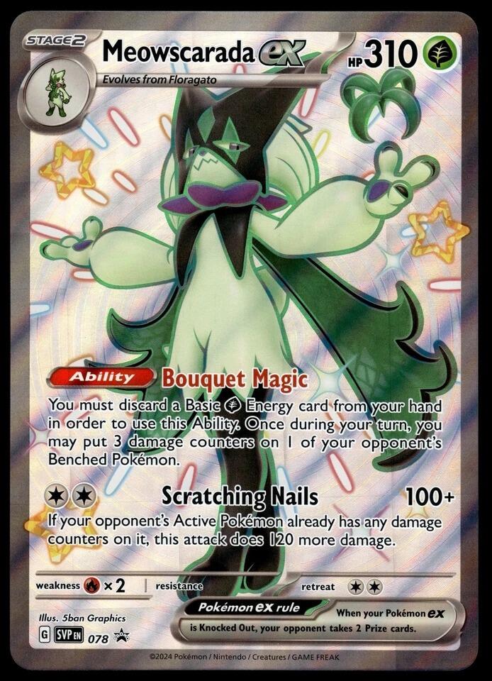 case of pokemon booster boxes Top-Loader Cases for Pokemon Card Vending | 10-Pack