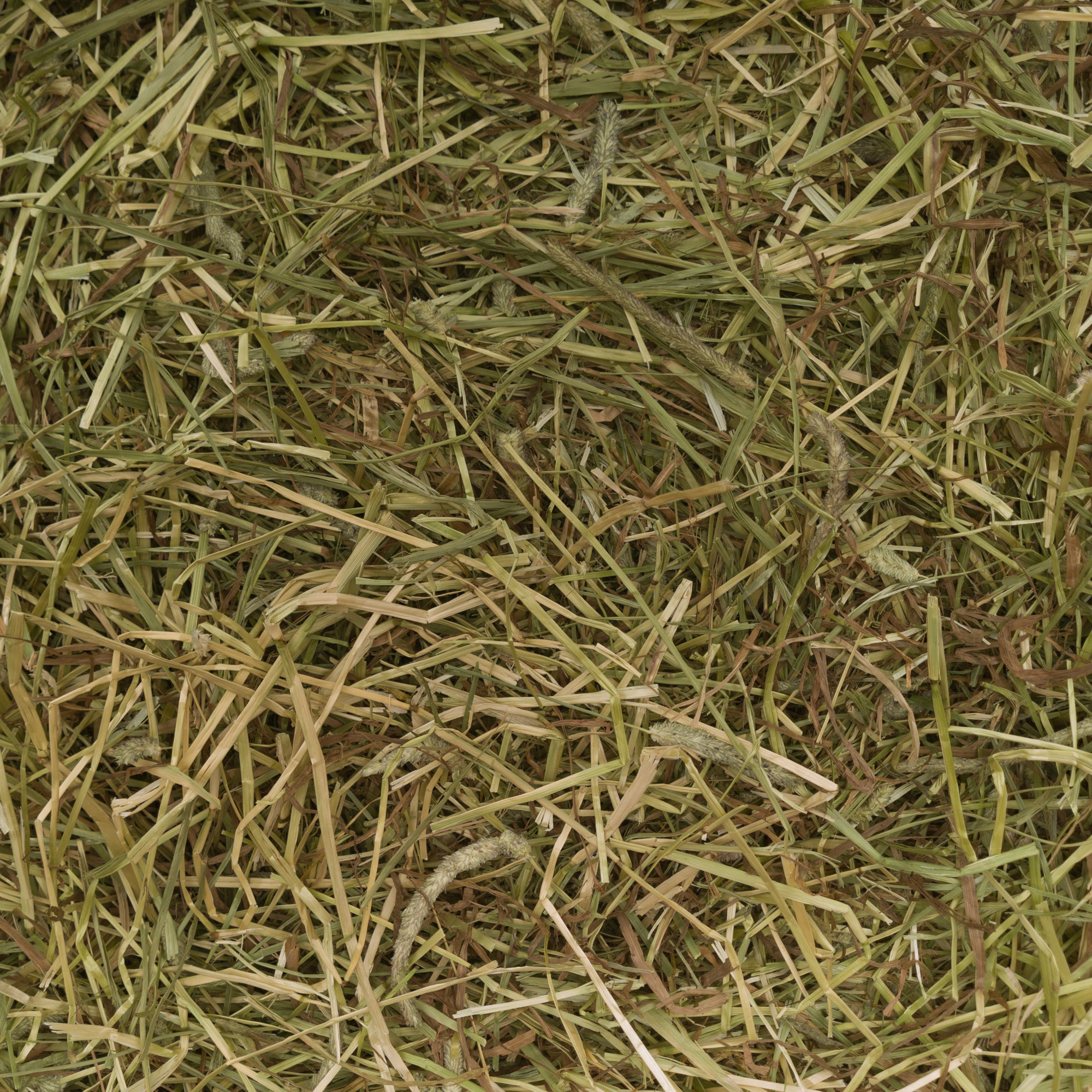 Timothy Hay Box 4kg