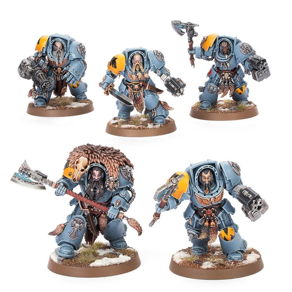 Wolf Guard Terminators fully painted with storm shields