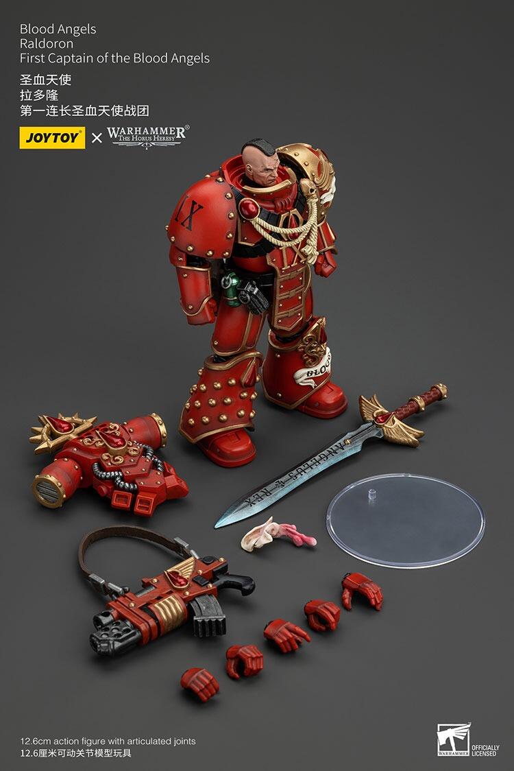 first captain raldoron 1/18 scale joytoy