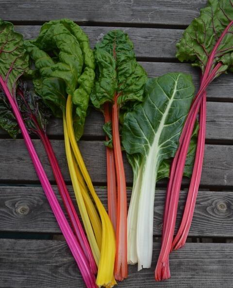 Chard