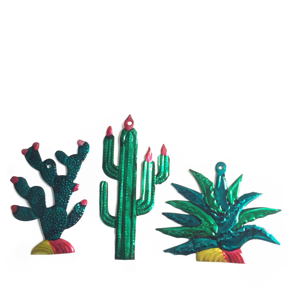 Mexican Tin Cactus
