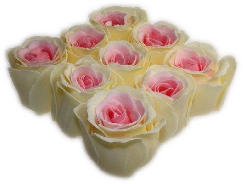 Bath Confetti 9 Pink and Cream Roses
