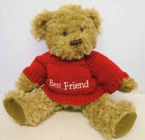 Message Teddy Bear 28cm Best Friend