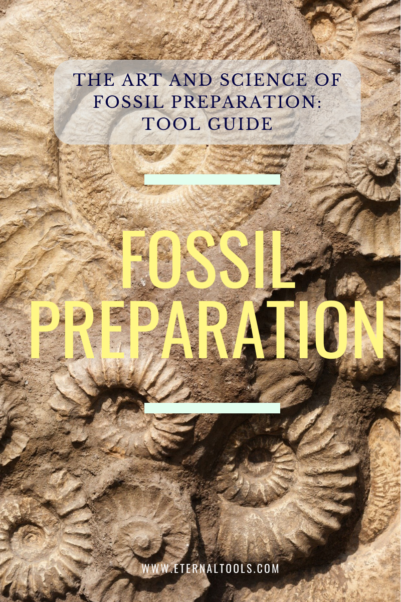 Eternal Tools guide to Fossil Preparation Tools and Techniques