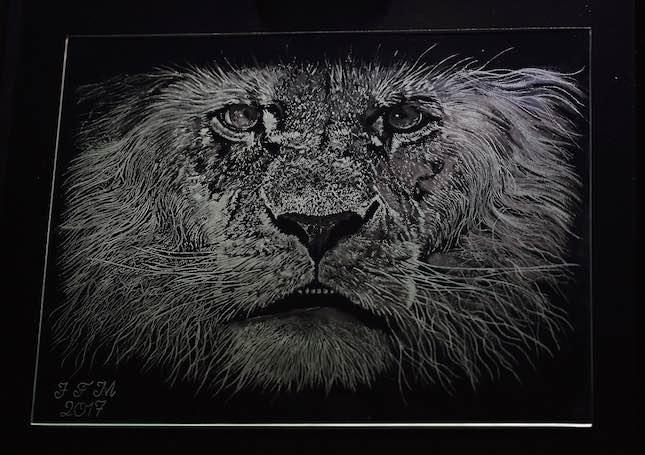 Glass Engraving of a lion by Jean-Francois Miralles.  He used a combination of tools from Eternal Tools: small diamond ball burrs, white arkansas stone burrs, eveflex polishers, grey rubber polishers and more