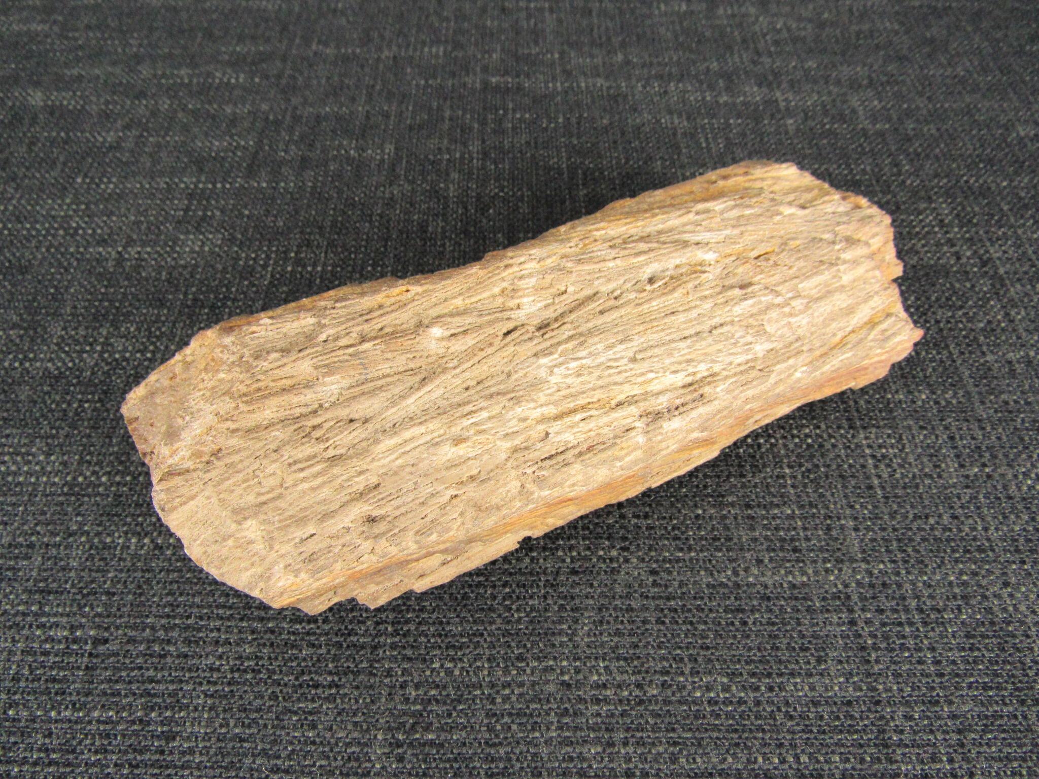 Petrified Wood - Fossilised Wood