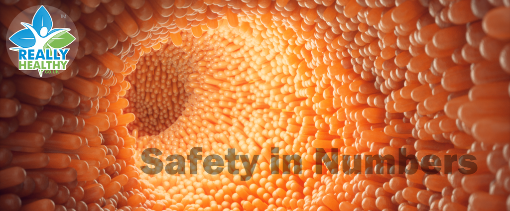 Safety in Numbers: Respecting Life's Multiplicity
