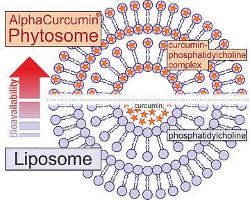 UK Suppliers of Bioavailable Phytosome Curcumin Complex