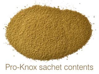 Pro-knox Powder